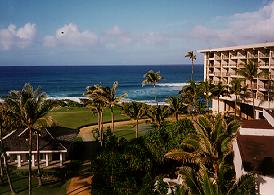 Room View