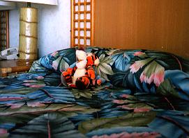 tigger bounces on the bed