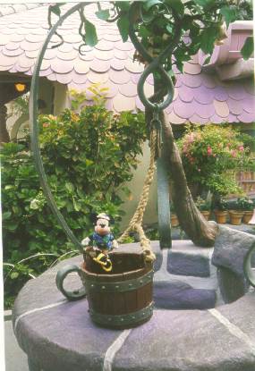 Mickey and Wishing Well