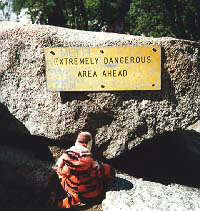 tigger and sign