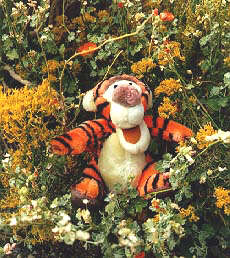 Tigger and flowers