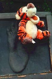 Tigger and gorilla print