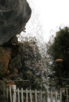 back_water.jpg