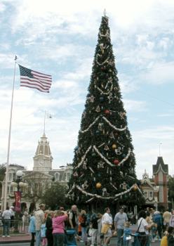Magic Kingdom Christmas Tree