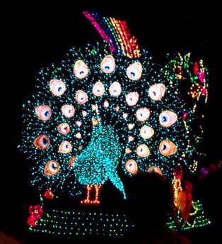 peacock2.jpg (24789 bytes)